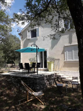 Petra's House